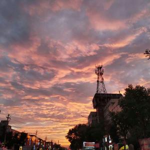 香蕉影院在线播放伊人
