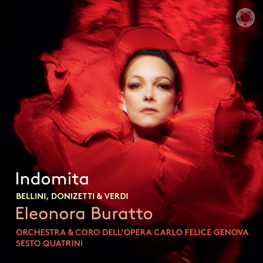 香蕉影院在线播放伊人
